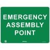 Pinnacle 400 x 300mm Poly Emergency Assembly Point Sign