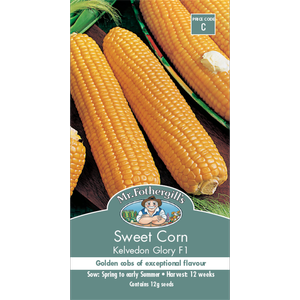 Mr Fothergill's Sweet Corn Kelvedon Glory Seeds