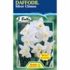 Fiesta Flower Bulbs Daffodil Silver Chimes - 5 Bulbs