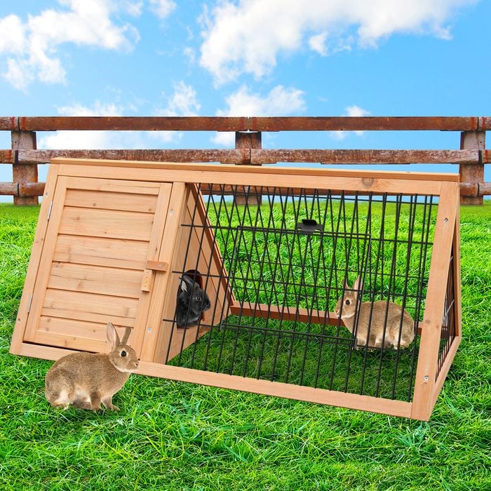 Furtastic Triangle Wooden Rabbit Hutch Bunnings Australia