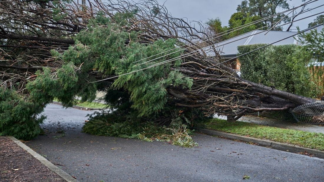 D.I.Y. - Header - How to clean up after a storm or cyclone