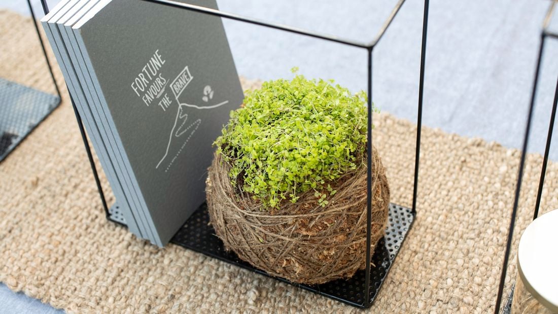 Kokedama plant on a shelf next to a collection of books