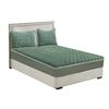 SOGA 183cm Green Quilted Fleece Mattress Cover Set with Pillow Covers