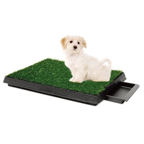 Puppy grass pad hotsell