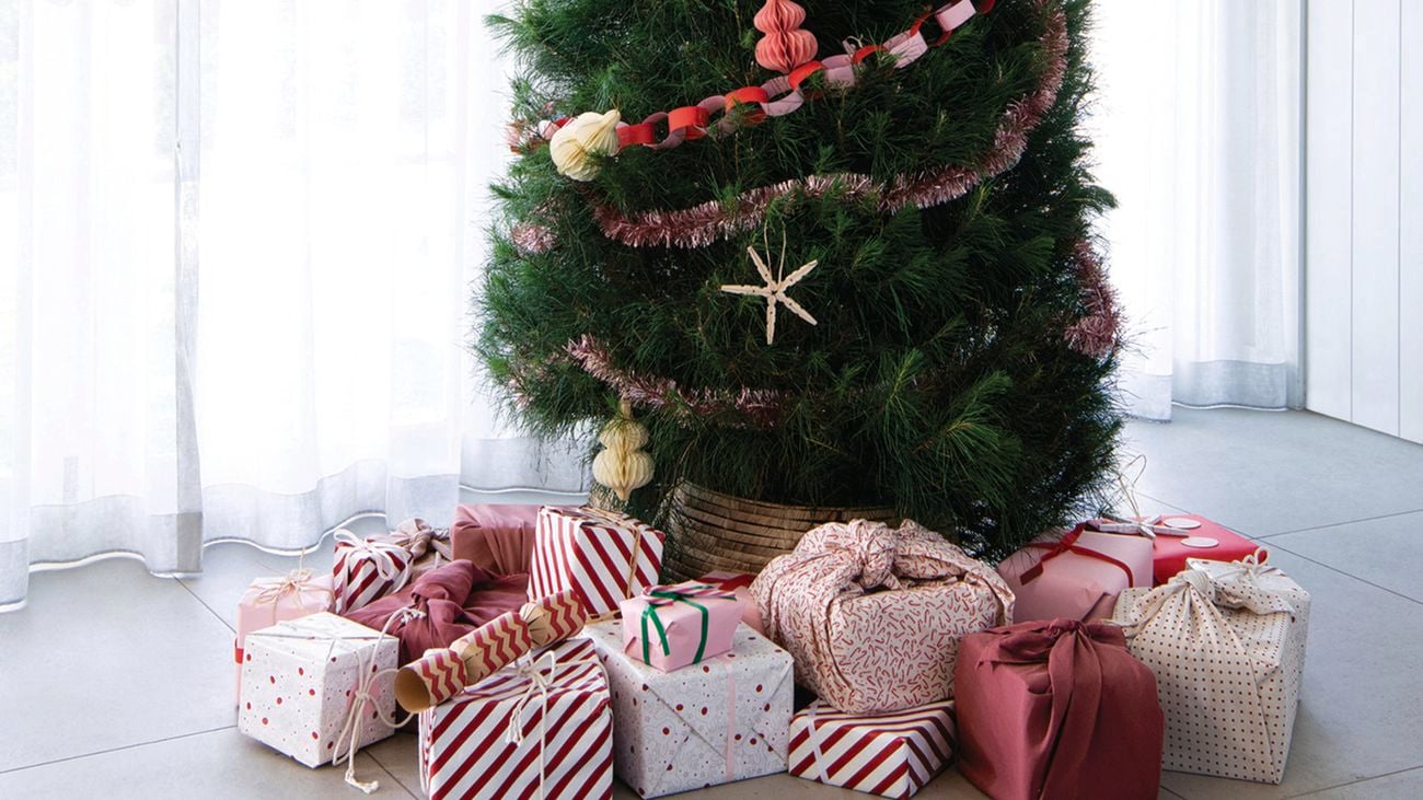 A Radiata pine sits on top of a mound of presents with Christmas decorations in its’ branches