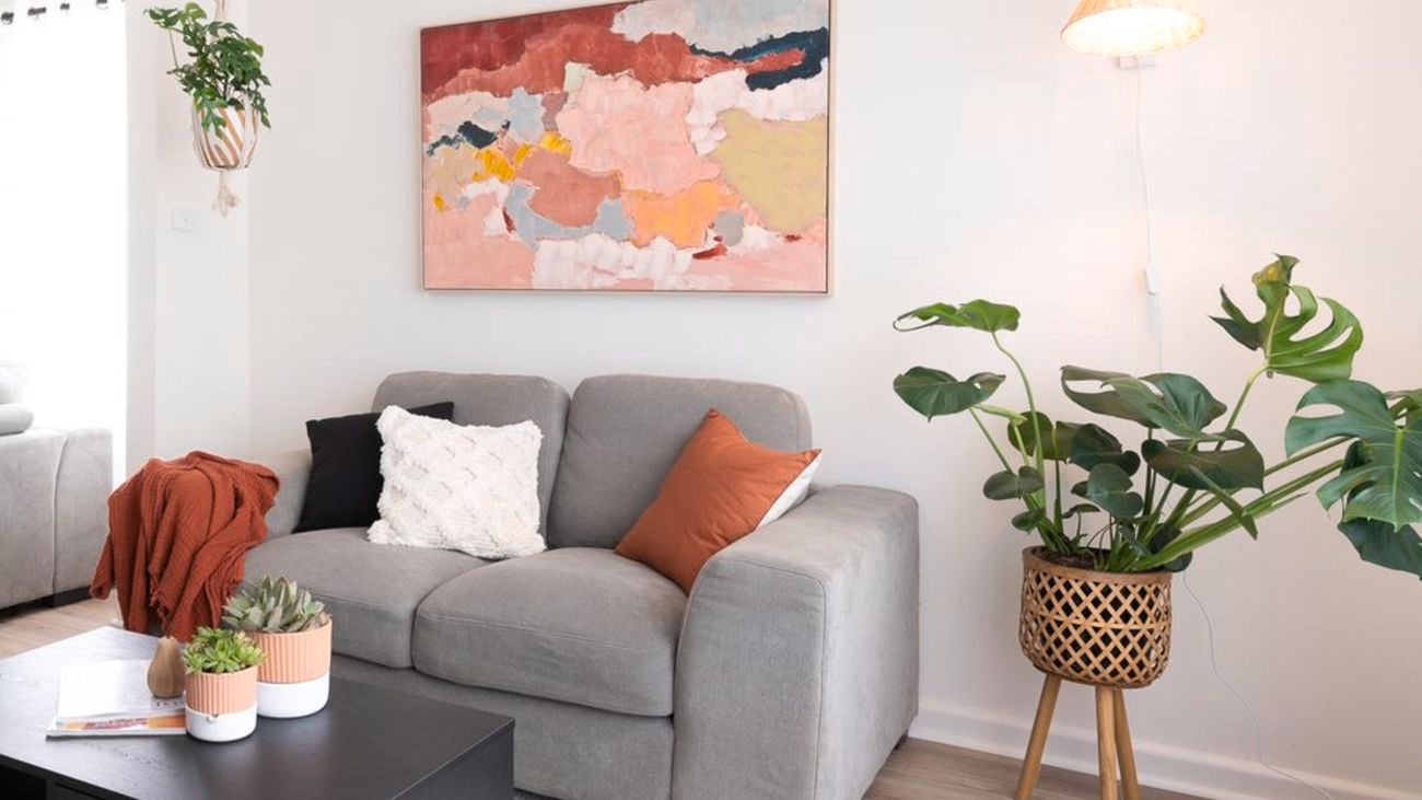 Grey lounge with pot plant and colourful wall hanging