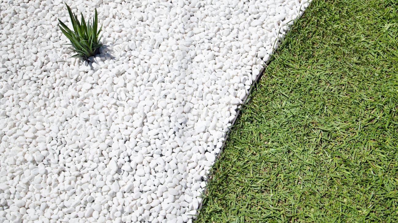 Lawn with pebbled pathway.