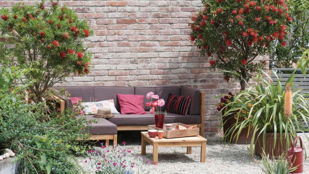 Grey outdoor couch surrounded by bright red bottlebrush trees.