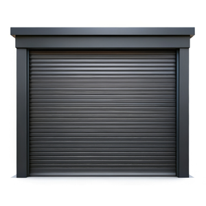 B&F 0-2300 x 3005-5000mm Monument Double Roller Garage Door