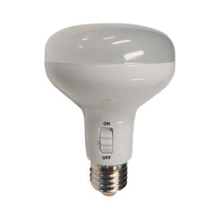 IXL 10W R80 Motion Sensor LED Globe