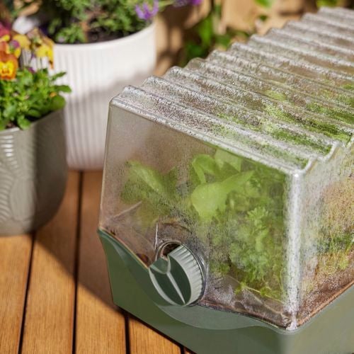 Backyard
  Farmer's Flori Seed Raising Kit. 