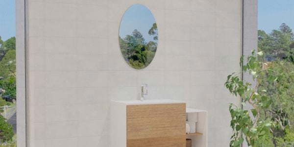 Bathroom with bevel edged mirror along with wash basin, plant and white wall tiles.