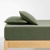 Dreamaker Jersey Luxe 100% Cotton Combo Fitted Sheet Set Olive Single Bed