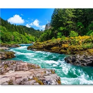 Nature Baths On the Katun River  Print 100% Australian Made 75 x 50cm  (Stretched)