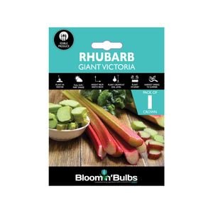 Bloomin' Bulbs Rhubarb Giant Victoria - 1 Pack