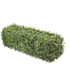 Un-Real 25cm Artificial Hedge Pittosporum