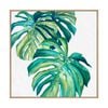 Artey | Botanical Monstera II - Framed Canvas - Natural Frame - 84 x 84cm