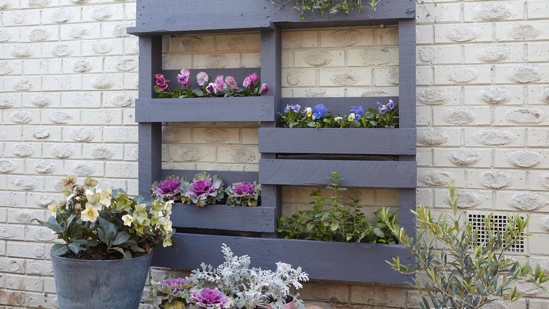 A painted timber vertical shelf with potted plants against a brick wall 