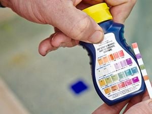 Person holding pool treatment product.