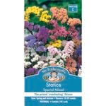 Mr Fothergill's Seed Statice Special Mix