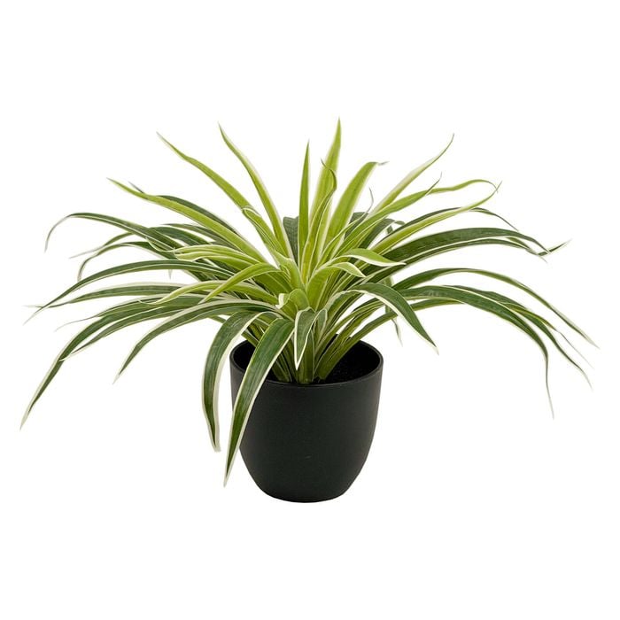 UN-REAL 30cm Artificial Spider Plant