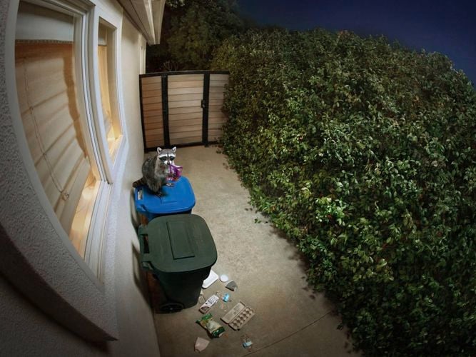 Brand page - Ring - Outdoor Camera Plus - POV - Lifestyle