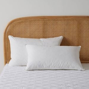 Dreamaker Goose Feather And Down Pillow Twin Pack - Standard