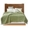 Anycozy Green Velvet Soft Fluffy Warm Throw Blanket 200x230cm