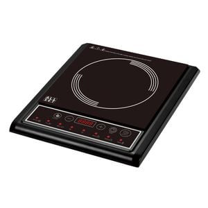 All Set Portable Induction Cooker