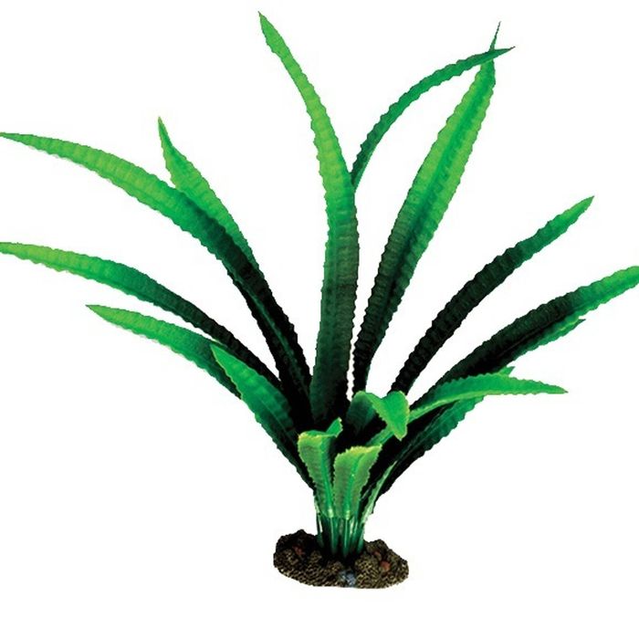30cm Large African Onion Aquarium Plant Silk For Fish Tanks And Aquariums by Aqua One