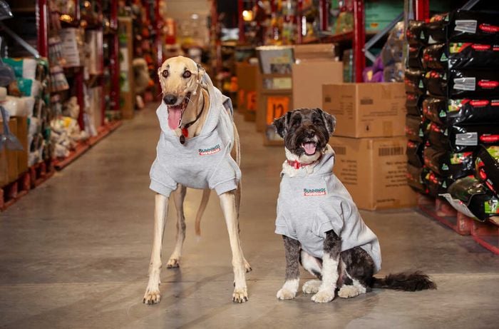 Graphic - Stores For Paws 2026_Hero Image - Media Release