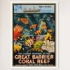 Galrie Vintage Great Barrier Reef Travel Poster by Roger Broders Queensland Australia Art, White Frame,A0 84 x 119cm (33x47inch)