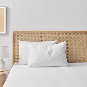 Essn Healthguard Allergy Sensitive Soft Cotton Cover Top Pillow High Profile Twin Pack