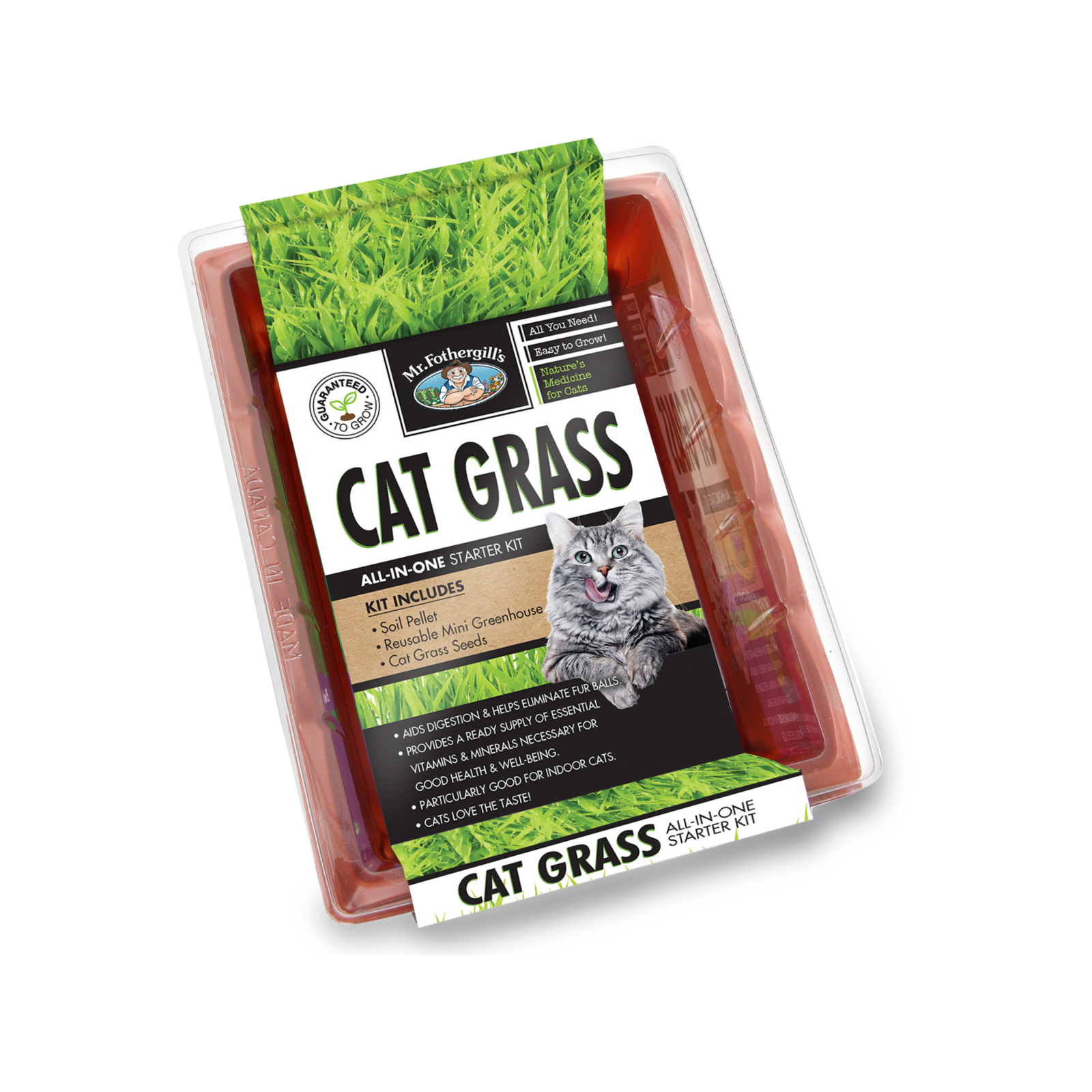 Mr Fothergills Cat Grass Seed Raiser Kit Bunnings Australia