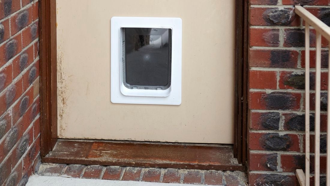 The entry door of a house with a pet door set into it