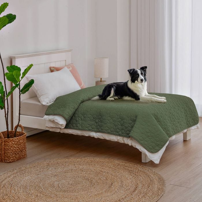Charlie's Sofur Waterproof Dog Bed Cover Protector Single/king Single 132x208cm Olive
