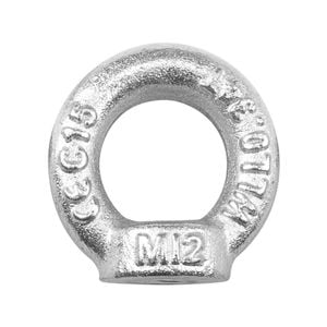 Pinnacle 50 x 55 x 13mm M12 Zinc Plated Eye Nut