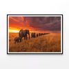 Elephants Moving Across Field  Print 100% Australian Made 90x60cm  (Poster)