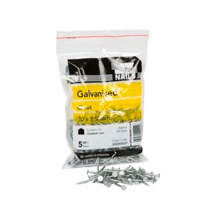 NZ Nails 30 x 2.5mm 500g Galvanised Clout Head Nails