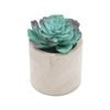 UN-REAL 13cm Blue Artificial Succulent - Blue
