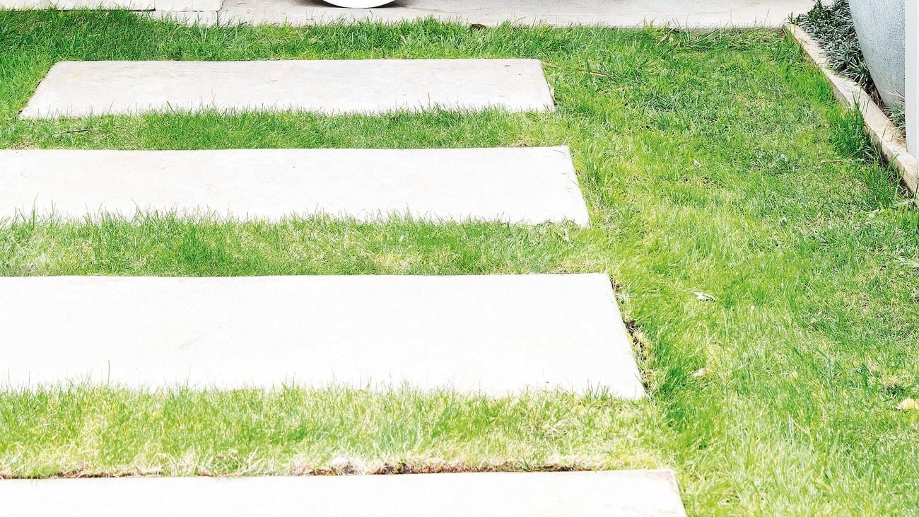 Concrete pavers set into a lawn.