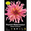Yarra Valley Bulbs Penhill Watermelon - 1 Pack