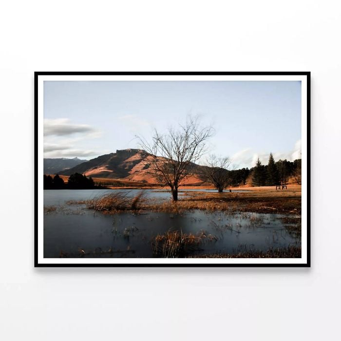 Lake with a Tree with Mountains  Print 100% Australian Made 120x90cm  (Poster)