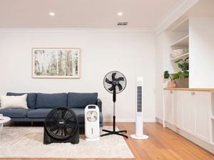 Range of cooling appliances including a floor fan, evaporative cooler, tower fan and air circulator displayed in a modern living room with a blue sofa and timber flooring.