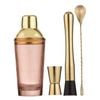 Tempa Cyrus 4 Piece Cocktail Set