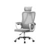 Oikiture Mesh Office Chair Adjustable Lumbar Support Reclining White