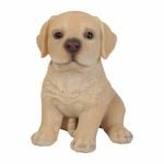 Northcote Pottery 31 x 14cm Benji Lab Statue