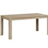 DS Skog Wooden Dining Table - 160 cm