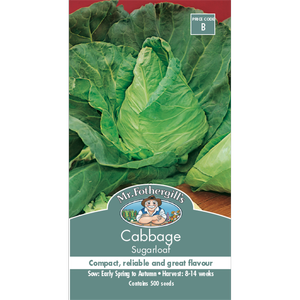 Mr Fothergill's Sugarloaf  Cabbage Vegetable Seeds