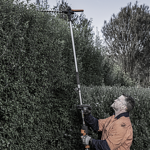 Aeg pole hedge trimmer sale